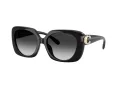 Coach Cad33 Sonnenbrille HC 8422U 50023C