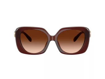 Coach Cad33 Sonnenbrille HC 8422U 584174