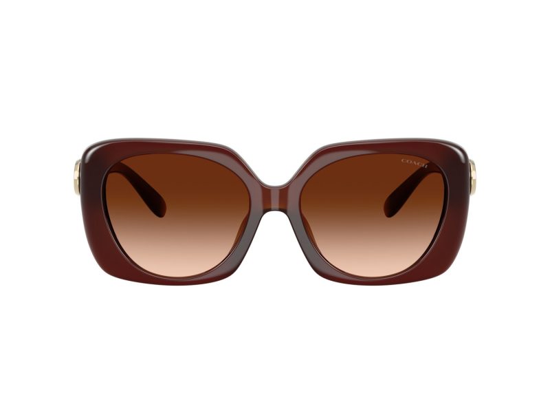 Coach Cad33 Sonnenbrille HC 8422U 584174