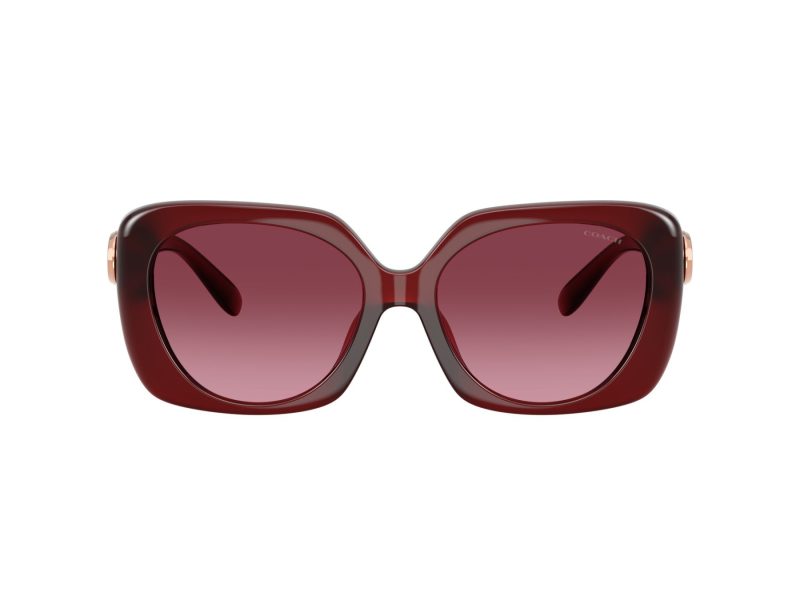 Coach Cad33 Sonnenbrille HC 8422U 58708H