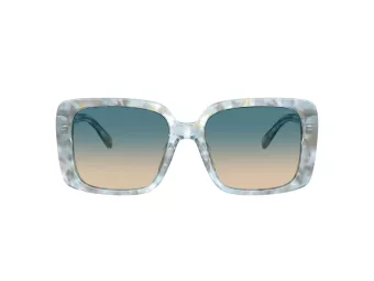 Coach Cad54 Sonnenbrille HC 8424U 58664M