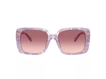 Coach Cad54 Sonnenbrille HC 8424U 58677W
