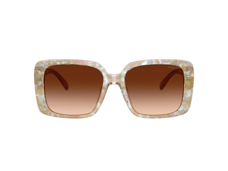 Coach Cad54 Sonnenbrille HC 8424U 586874