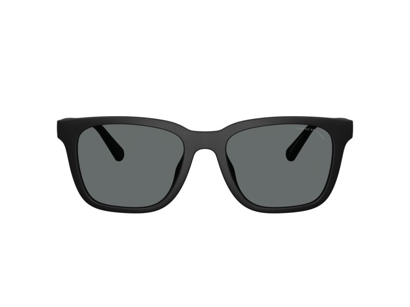Coach Cad81 Sonnenbrille HC 8426U 500281