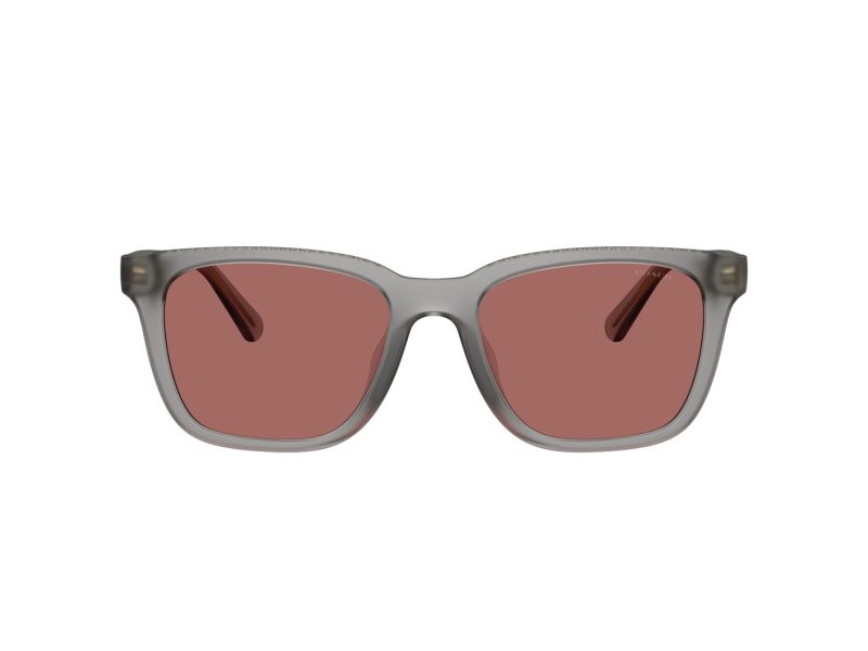 Coach Cad81 Sonnenbrille HC 8426U 58750H