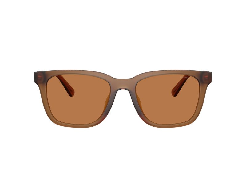 Coach Cad81 Sonnenbrille HC 8426U 587673