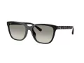Coach Cae86 Sonnenbrille HC 8429D 50023C