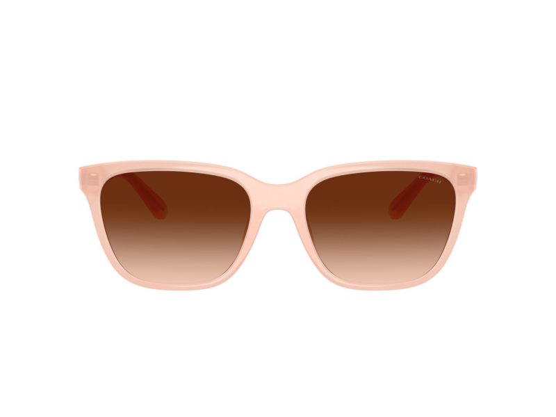 Coach Cae86 Sonnenbrille HC 8429D 511374