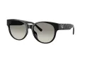 Coach Cae87 Sonnenbrille HC 8430D 50023C
