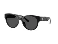 Coach Cae87 Sonnenbrille HC 8430D 500287