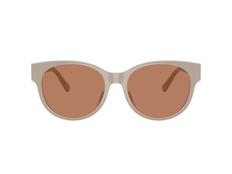 Coach Cae87 Sonnenbrille HC 8430D 58843