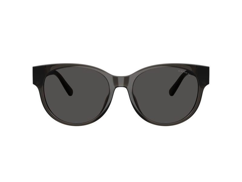 Coach Cae87 Sonnenbrille HC 8430D 589787