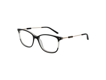 Ana Hickmann Brillen HIY 6010T H01