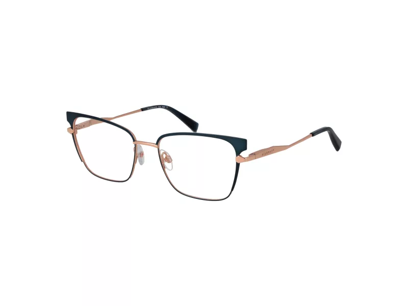 Ana Hickmann Brillen HI 1252 12A