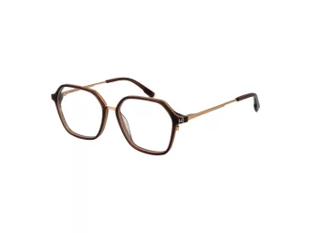 Ana Hickmann Brillen HI 6254 T02