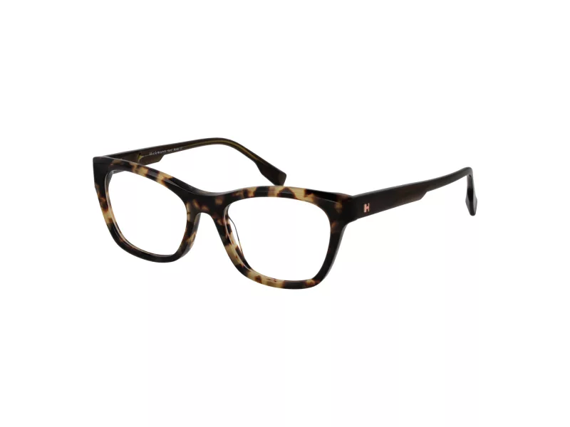 Ana Hickmann Brillen HI 6266 G21