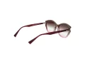 Ana Hickmann Sonnenbrille HI 9185 C01