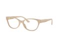 Jimmy Choo Brillen JC 3003BU 5015