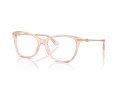 Jimmy Choo Brillen JC 3007HB 5034