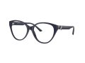Jimmy Choo Brillen JC 3009 5016
