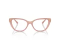 Jimmy Choo Brillen JC 3011 5027