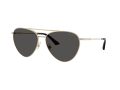 Jimmy Choo Sonnenbrille JC 4002B 301787
