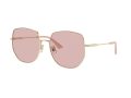 Jimmy Choo Sonnenbrille JC 4006BD 3006/5