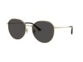 Jimmy Choo Sonnenbrille JC 4007BD 300687