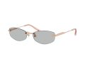 Jimmy Choo Sonnenbrille JC 4013D 300887