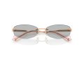 Jimmy Choo Sonnenbrille JC 4013D 300887