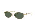 Jimmy Choo Sonnenbrille JC 4017 302371