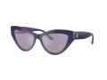 Jimmy Choo Sonnenbrille JC 5004 50482S