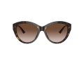 Jimmy Choo Sonnenbrille JC 5007 500213