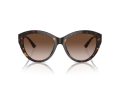 Jimmy Choo Sonnenbrille JC 5007 500213