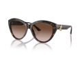 Jimmy Choo Sonnenbrille JC 5007 500213