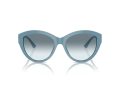 Jimmy Choo Sonnenbrille JC 5007 501219
