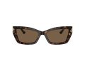 Jimmy Choo Sonnenbrille JC 5011U 500273