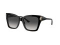 Jimmy Choo Sonnenbrille JC 5012 50008G
