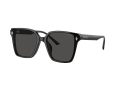 Jimmy Choo Sonnenbrille JC 5016D 500087
