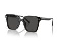 Jimmy Choo Sonnenbrille JC 5016D 500087