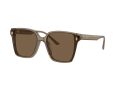 Jimmy Choo Sonnenbrille JC 5016D 505173