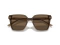 Jimmy Choo Sonnenbrille JC 5016D 505173