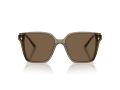 Jimmy Choo Sonnenbrille JC 5016D 505173
