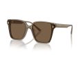 Jimmy Choo Sonnenbrille JC 5016D 505173