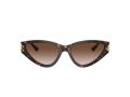 Jimmy Choo Sonnenbrille JC 5019 500213