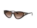 Jimmy Choo Sonnenbrille JC 5019 500213