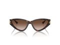 Jimmy Choo Sonnenbrille JC 5019 500213