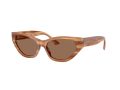 Jimmy Choo Sonnenbrille JC 5022B 505573