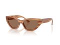 Jimmy Choo Sonnenbrille JC 5022B 505573