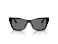 Jimmy Choo Sonnenbrille JC 5024HU 500081